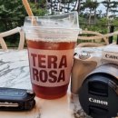 강릉미송 공인중개사사무소 이미지