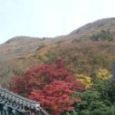 진도 운림산방 이미지