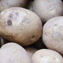 수미밥상 이미지