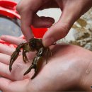 충의합기도 이미지