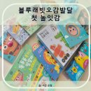 블루래빗 소전집 오감발달 첫 놀잇감 내돈내산 후기