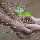 [명언 150선] 영화 에반 올마이티 中 기회 명언/좋은글 - 16 이미지