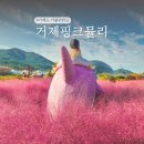 거제시농업개발원 | 거제도 핑크뮬리 거제섬꽃축제 여행코스 + 식물원 곤충체험