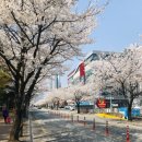 신성온누리약국 이미지