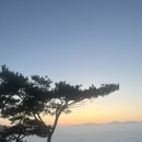 곡성군 삼인동 유아숲체험원 이미지
