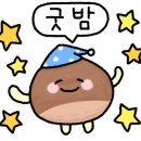 바비래쉬