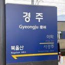 경주 황리단길 &#39;스테이안김&#39; 1박 후기