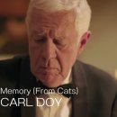 CARL DOY--Memory(From Cats) 이미지
