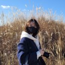 와컴 | 포토샵 작업에 날개를 달아줄 WACOM Intuos Pro 와컴 인튜어스 프로 PTH-660 타블렛 중형