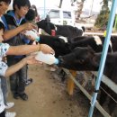 벧엘 지역아동센터 이미지