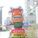 배보삼춘농장 이미지