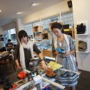 다이아나플러스(+) 이미지