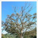 서촌경로당 이미지