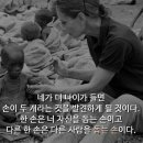 래플즈동물병원 이미지