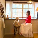 공주소풍관광펜션 | 공주 애견동반 숙소 촌캉스 감성 가득한 펜션 추천해요!