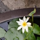 스토리텔링 그림책놀이 이미지