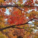 K무인텔 이미지