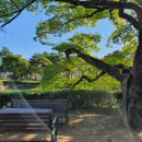 유당공원(주차장) 이미지