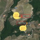 B.D.M(비디엠) 이미지