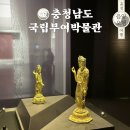 부여(사비)-14 | 국립 부여 박물관 예약 어린이 실내 가볼만한곳