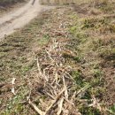 [한로] 마지막 이야기 이미지