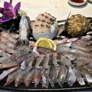 상남동266 | [상남동 횟집] 강태공횟집 신선한 고급어종 회와 푸짐한 상차림 후기