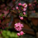 신용산초교 이미지