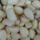 사람과 기(氣) 식품 이미지