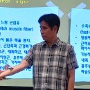 스포츠테이핑 클래스과정 이미지