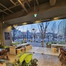 낭만낙곱새 이미지