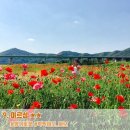 석장리 박물관 화장실(전시관) 이미지