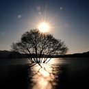 황금오리집 이미지