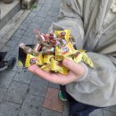 우리한우먹자 | 🥩김포 장기동 맛집 먹자골목 한우, 왜 이제야 발견했을까? 33한우고집 솔직 후기