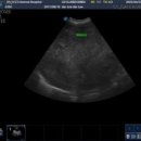 쓰담쓰담 동물병원 이미지