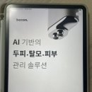 에클라헤어스파