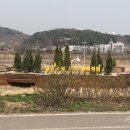 송도만두달빛공원