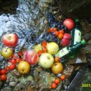 다래모텔 이미지