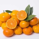 온새미영농조합법인 이미지