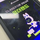 코더랜드 | 튜터님과 1:1로 코딩강의, 코더랜드 후기