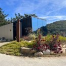 미러글램핑&풀빌라펜션 이미지