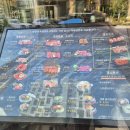 좋은집 | 용인 소고기 맛집 가성비 좋은 고기집 소근소근 내돈내산 후기