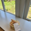 다랑들락 이미지