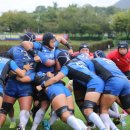 스포츠파크 하늘샘구장 이미지