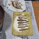 옥간정 | 25년 8월 15일~23일