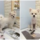 오송프렌즈샵