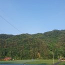 홍천펜션 삼둔사가리