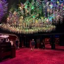 윈메디칼 | [미국_라스베가스] 윈 어웨이크닝 Awakening 공연 후기 | 티켓가격 구매사이트 꿀팁 땡처리 | 좌석선정...