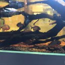 에스엔알(SNR) 이미지