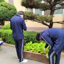 수일중학교 이미지