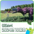 드림에너텍
